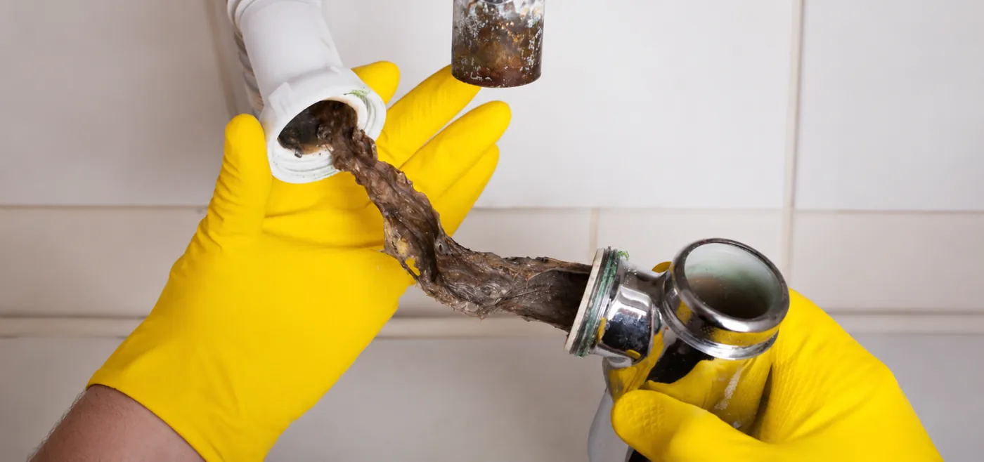 A congealed clog being pulled from an opened waste trap